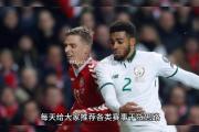 米兰体育-丹麦豪取大胜晋级八强淘汰爱尔兰