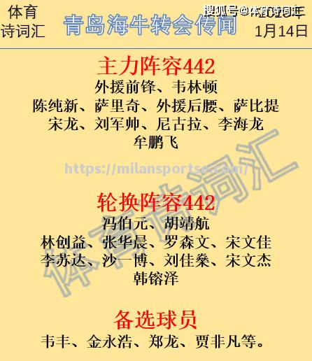 青岛队外援状态回升，连战连胜